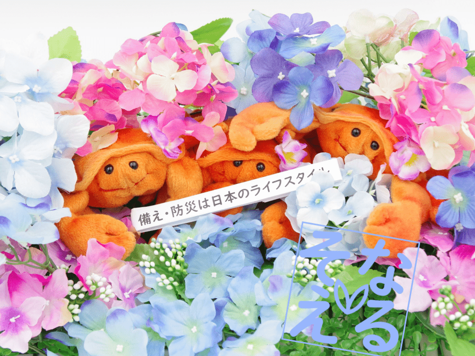 Voicyそなえるらじお #1116 「防災リュックはじめてBOOK」発売！隠された秘密のお話