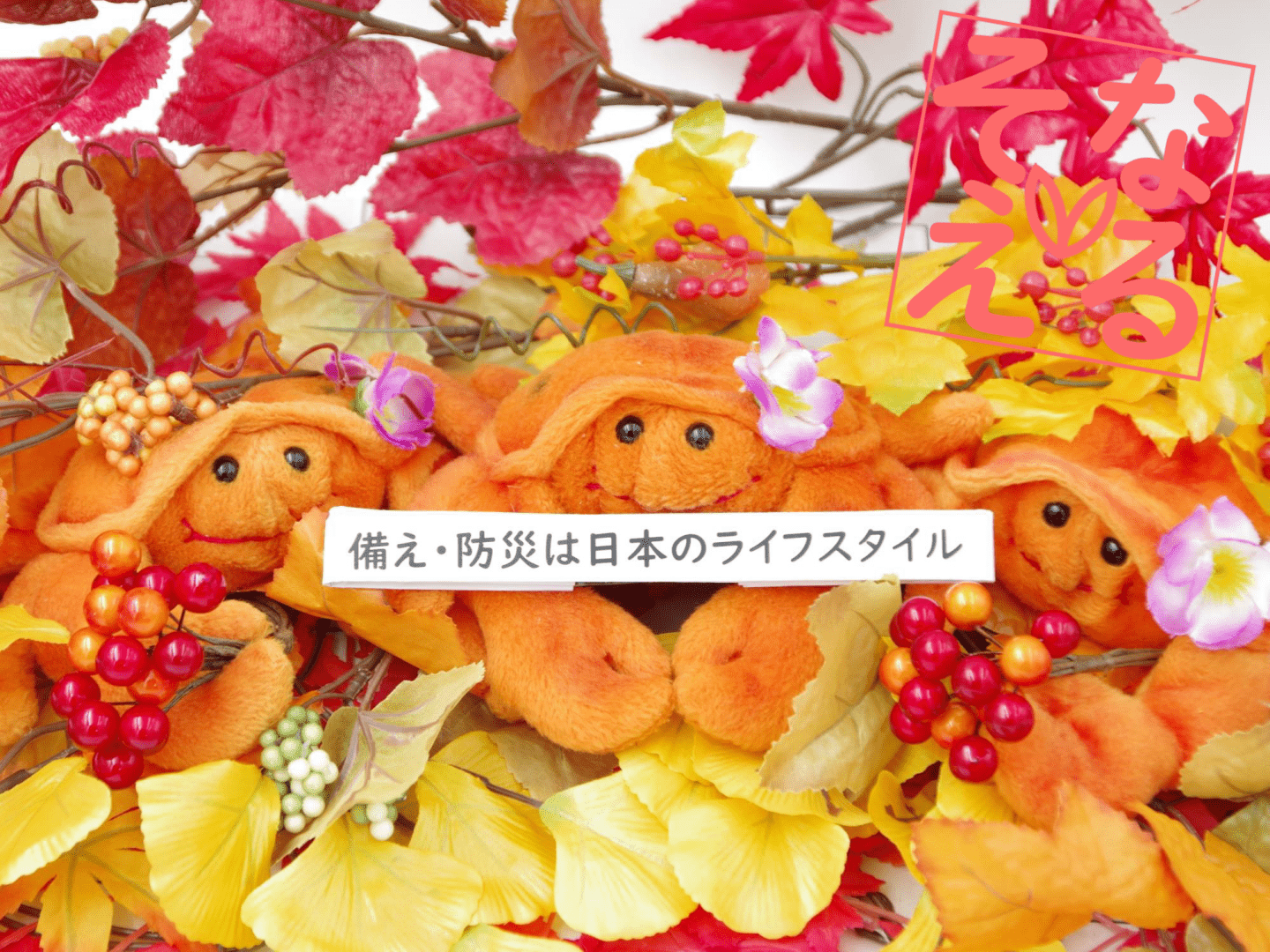 Voicyそなえるらじお #1199 防災視点で「備蓄食レビュー」をする際の重要なポイント